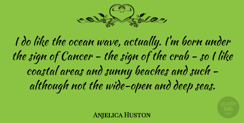 Anjelica Huston Quote About Beach, Cancer, Ocean: I Do Like The Ocean...