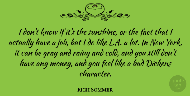 Rich Sommer Quote About New York, Jobs, Character: I Dont Know If Its...