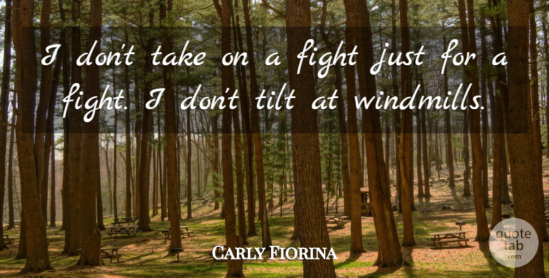 Carly Fiorina Quote About Fighting, Tilt, Windmills: I Dont Take On A...