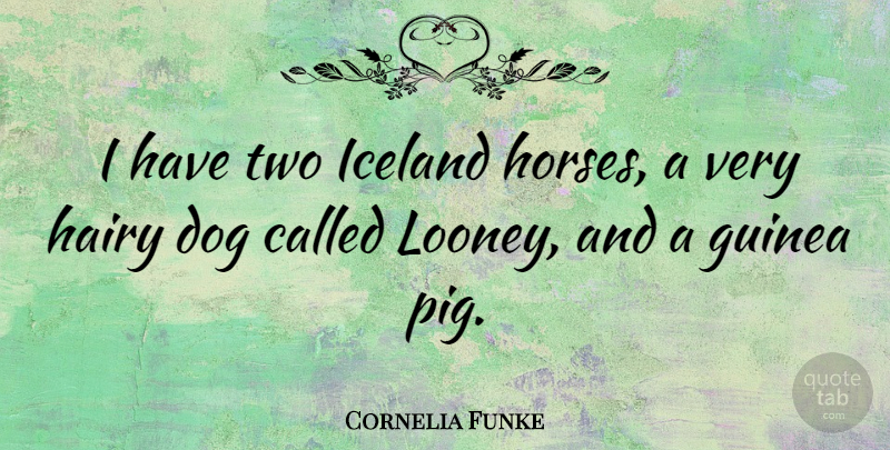 Cornelia Funke Quote About Dog, Horse, Iceland: I Have Two Iceland Horses...