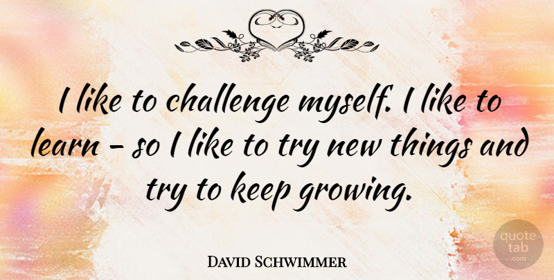 David Schwimmer Quote About Challenges, Trying, Growing: I Like To Challenge Myself...