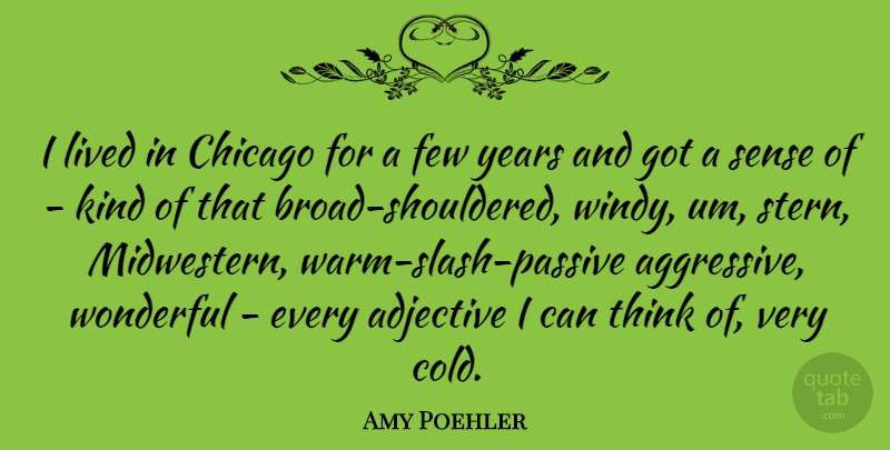 Amy Poehler Quote About Thinking, Years, Adjectives: I Lived In Chicago For...