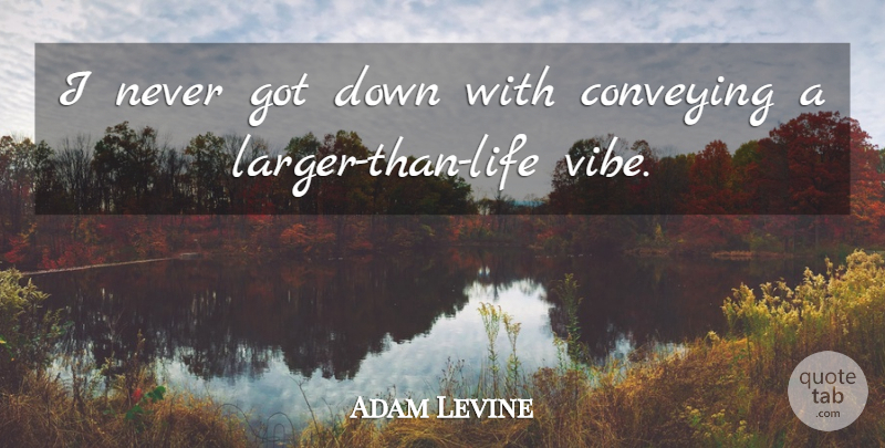 Adam Levine Quote About Larger Than Life, Conveying: I Never Got Down With...