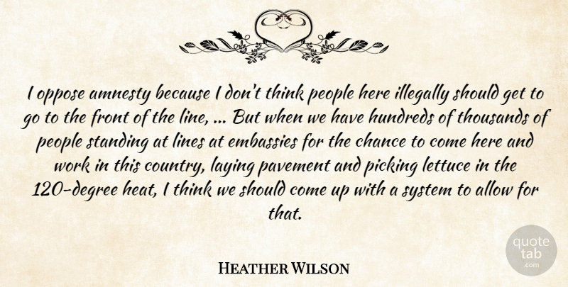 Heather Wilson Quote About Allow, Amnesty, Chance, Front, Laying: I Oppose Amnesty Because I...