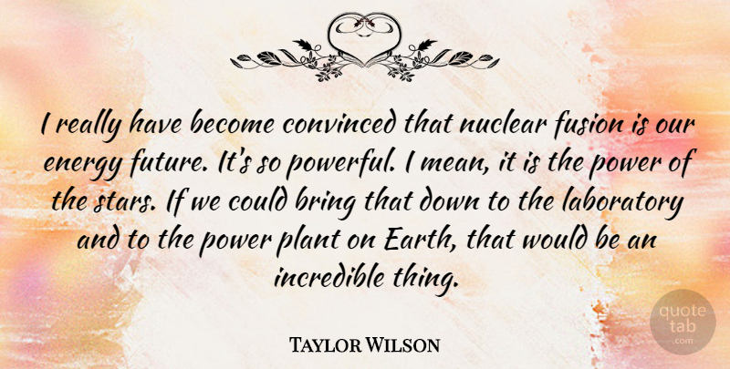 Taylor Wilson Quote About Bring, Convinced, Energy, Fusion, Future: I Really Have Become Convinced...