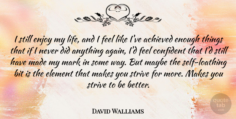David Walliams Quote About Self, Elements, Way: I Still Enjoy My Life...