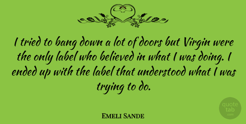 Emeli Sande Quote About Doors, Trying, Labels: I Tried To Bang Down...