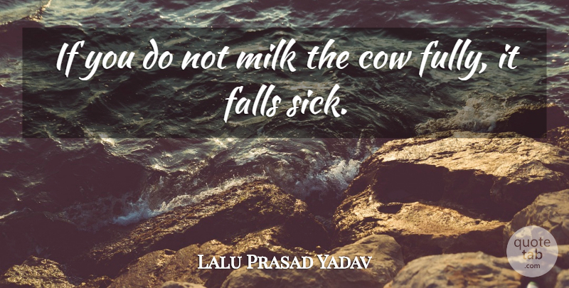 Lalu Prasad Yadav Quote About Fall, Sick, Cows: If You Do Not Milk...