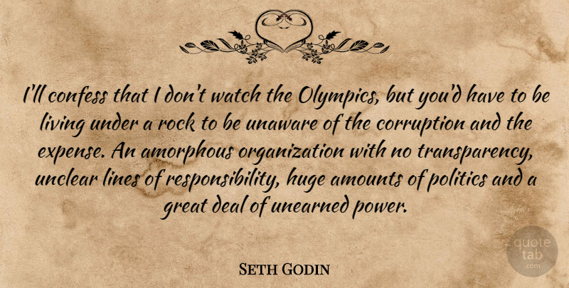 Seth Godin Quote About Responsibility, Rocks, Organization: Ill Confess That I Dont...