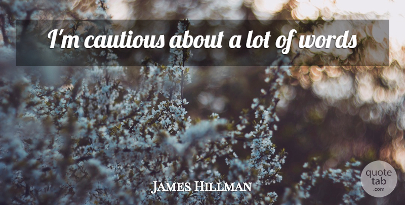 James Hillman Quote About Cautious: Im Cautious About A Lot...