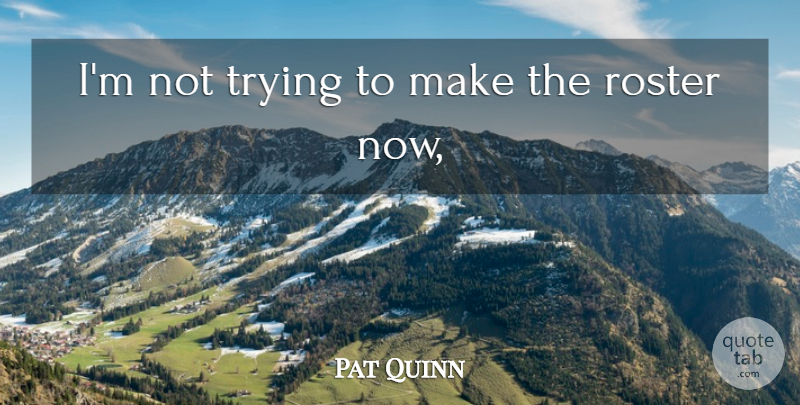 Pat Quinn Quote About Trying: Im Not Trying To Make...