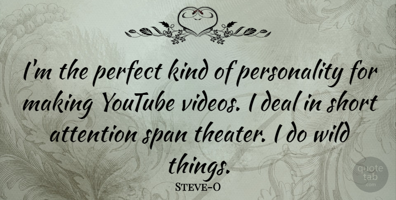 Steve-O Quote About Attention, Deal, Span, Youtube: Im The Perfect Kind Of...