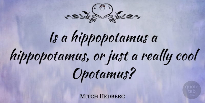 Mitch Hedberg Quote About Funny, Humor, Really Cool: Is A Hippopotamus A Hippopotamus...