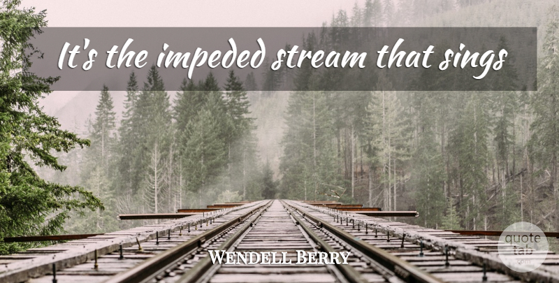 Wendell Berry Quote About Wisdom, Streams: Its The Impeded Stream That...