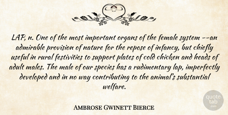 Ambrose Bierce Quote About Support, Important, Males: Lap N One Of The...