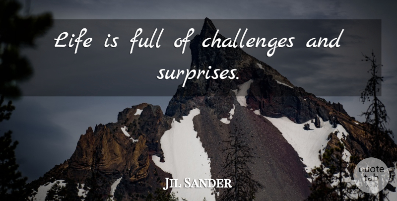 Jil Sander Quote About Challenges, Surprise, Life Is: Life Is Full Of Challenges...