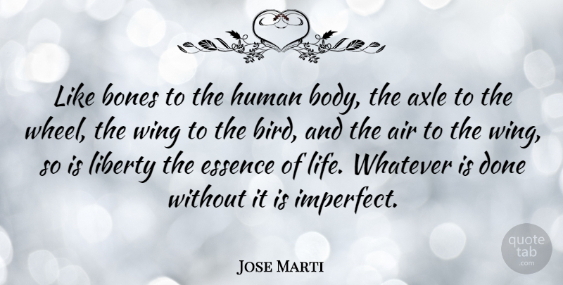 Jose Marti Quote About Essence, Wings, Air: Like Bones To The Human...