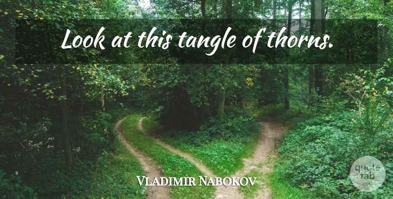 Vladimir Nabokov Quote About Looks, Thorns: Look At This Tangle Of...