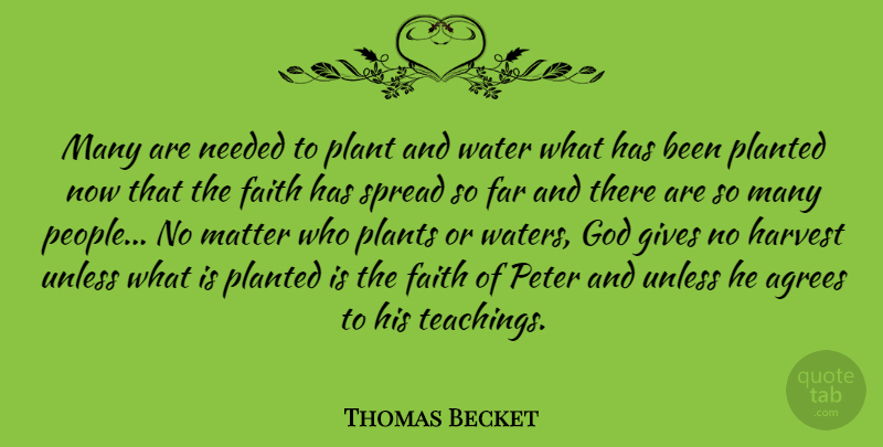 Thomas Becket Quote About Teaching, Giving, Water: Many Are Needed To Plant...