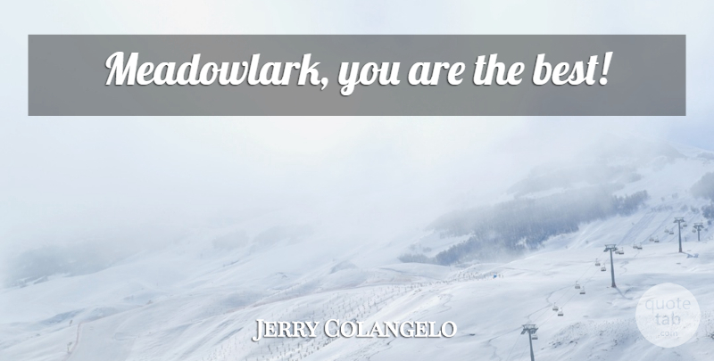 Jerry Colangelo Quote About Meadowlarks: Meadowlark You Are The Best...