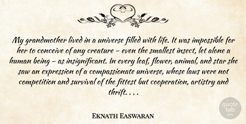 Eknath Easwaran Quote About Stars, Flower, Grandmother: My Grandmother Lived In A...