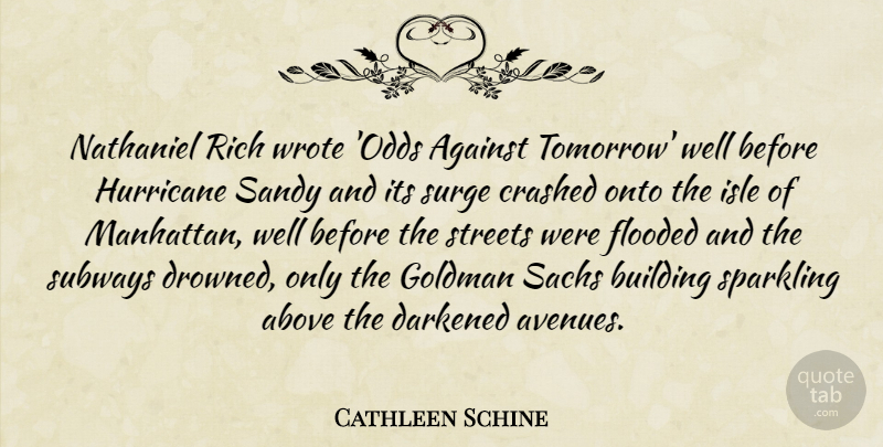Cathleen Schine Quote About Above, Against, Crashed, Flooded, Hurricane: Nathaniel Rich Wrote Odds Against...
