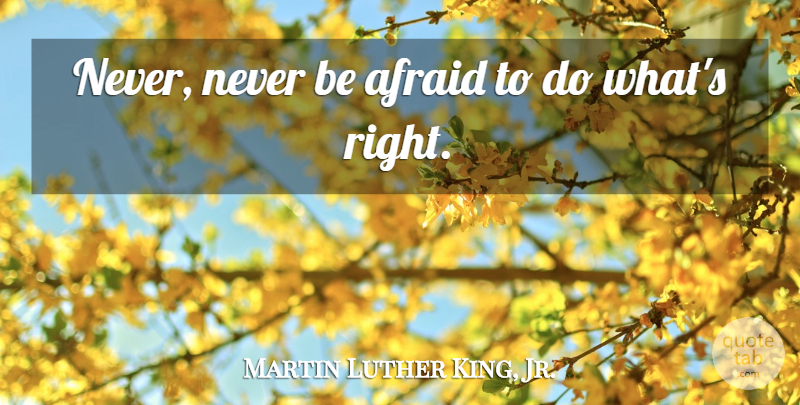 Martin Luther King, Jr. Quote About Civil Rights Leaders: Never Never Be Afraid To...