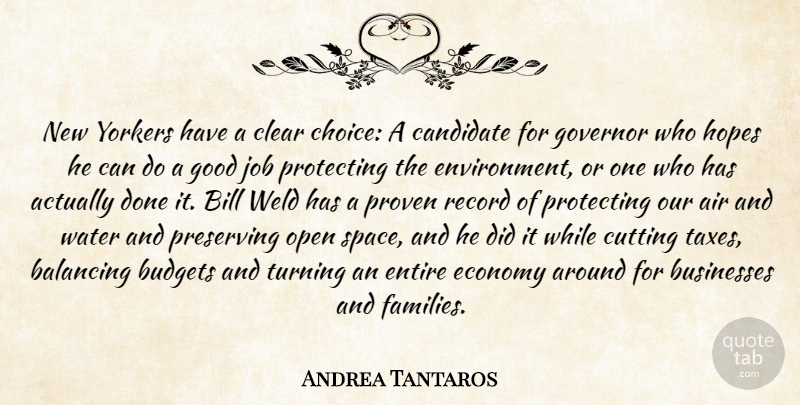 Andrea Tantaros Quote About Air, Balancing, Bill, Budgets, Businesses: New Yorkers Have A Clear...