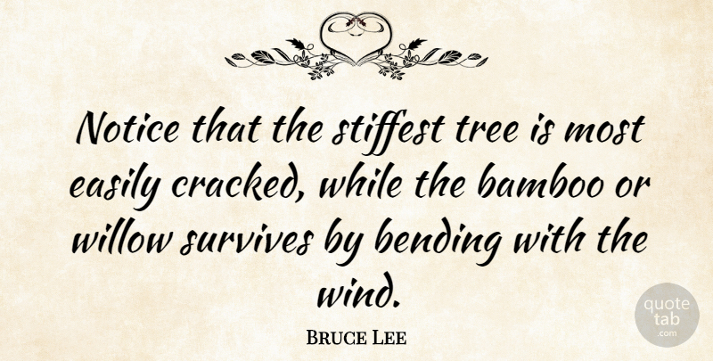 Bruce Lee Quote About Change, Success, Moving On: Notice That The Stiffest Tree...