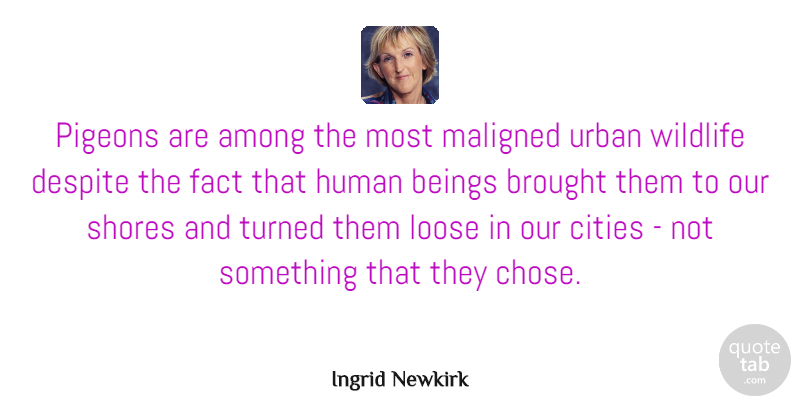 Ingrid Newkirk Quote About Cities, Pigeons, Facts: Pigeons Are Among The Most...