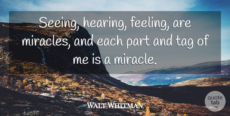 Walt Whitman Quote About Miracle, Feelings, Aroma: Seeing Hearing Feeling Are Miracles...