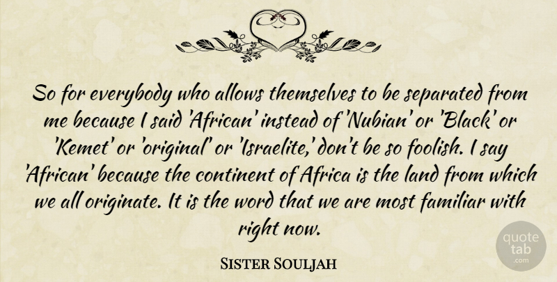 Sister Souljah Quote About Land, Black, Foolish: So For Everybody Who Allows...