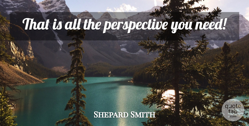 Shepard Smith Quote About Perspective, Needs: That Is All The Perspective...