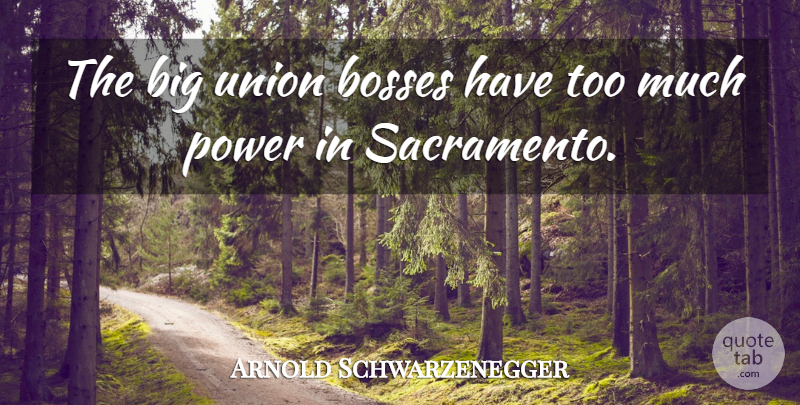 Arnold Schwarzenegger Quote About Bosses, Power, Union: The Big Union Bosses Have...