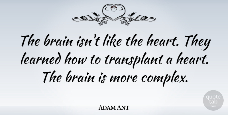 Adam Ant Quote About Heart, Brain, Transplants: The Brain Isnt Like The...
