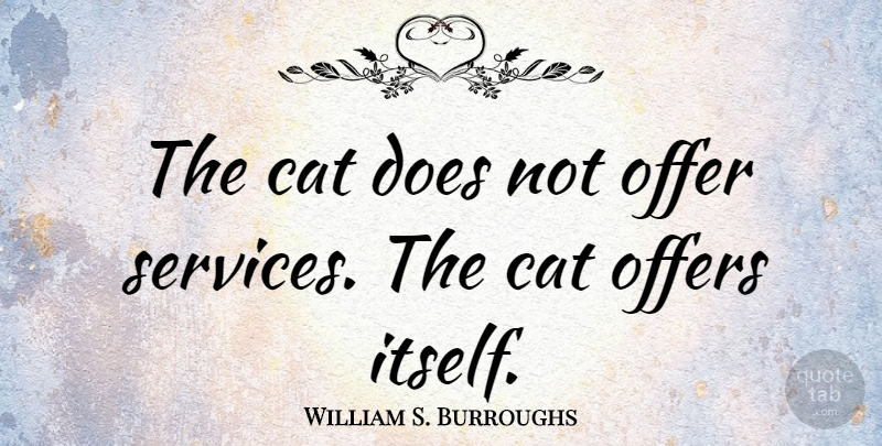 William S. Burroughs Quote About Cat, Pet, Doe: The Cat Does Not Offer...