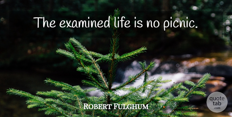 Robert Fulghum Quote About Picnics, Life Is, Examined Life: The Examined Life Is No...