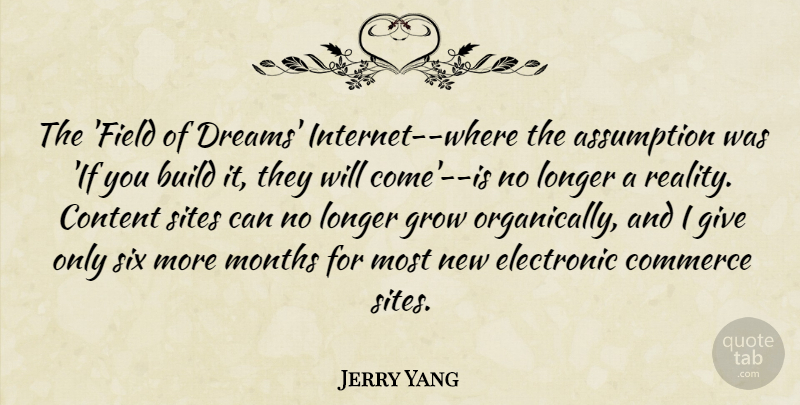 Jerry Yang Quote About Assumption, Build, Commerce, Content, Dreams: The Field Of Dreams Internet...