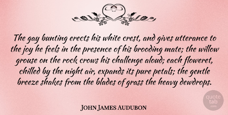 John James Audubon Quote About Blades, Breeze, Brooding, Chilled, Crows: The Gay Bunting Erects His...