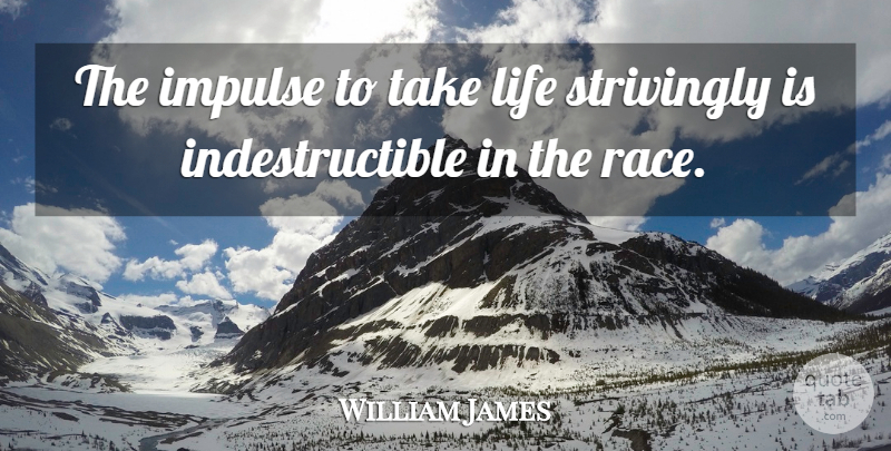 William James Quote About Race, Vagueness, Free Will: The Impulse To Take Life...