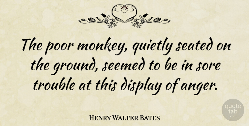 Henry Walter Bates Quote About Monkeys, Trouble, Poor: The Poor Monkey Quietly Seated...