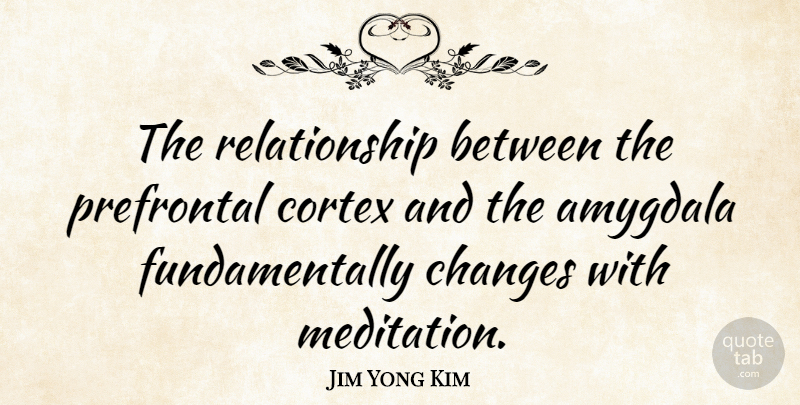 Jim Yong Kim Quote About Relationship: The Relationship Between The Prefrontal...