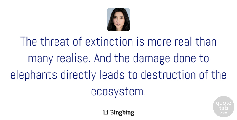 Li Bingbing Quote About Damage, Directly, Leads, Threat: The Threat Of Extinction Is...