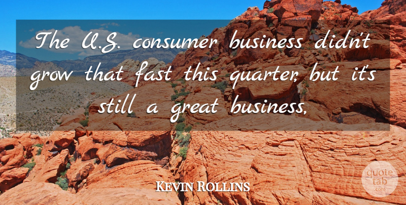 Kevin Rollins Quote About Business, Consumer, Fast, Great, Grow: The U S Consumer Business...