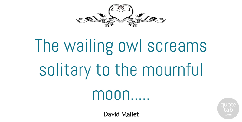 David Mallet Quote About Moon, Owl, Scream: The Wailing Owl Screams Solitary...
