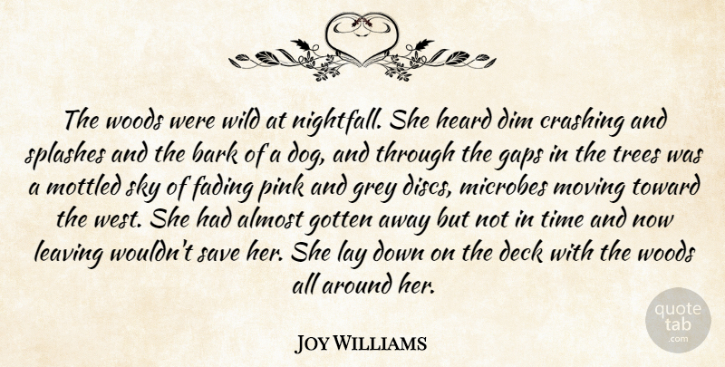 Joy Williams Quote About Almost, Bark, Crashing, Deck, Dim: The Woods Were Wild At...
