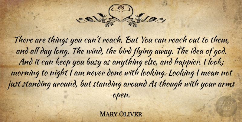 Mary Oliver Quote About Morning, Mean, Night: There Are Things You Cant...