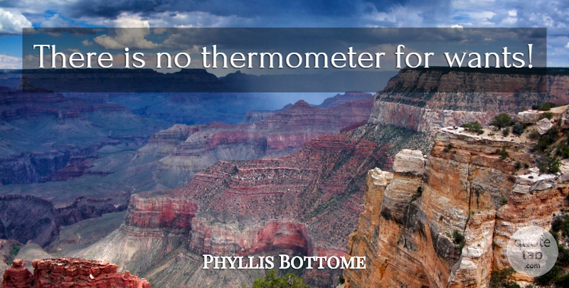 Phyllis Bottome Quote About Desire, Want, Thermometers: There Is No Thermometer For...