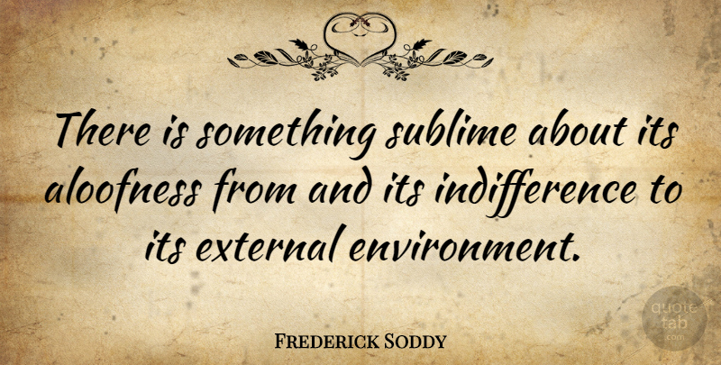 Frederick Soddy Quote About Sublime, Indifference, Environment: There Is Something Sublime About...