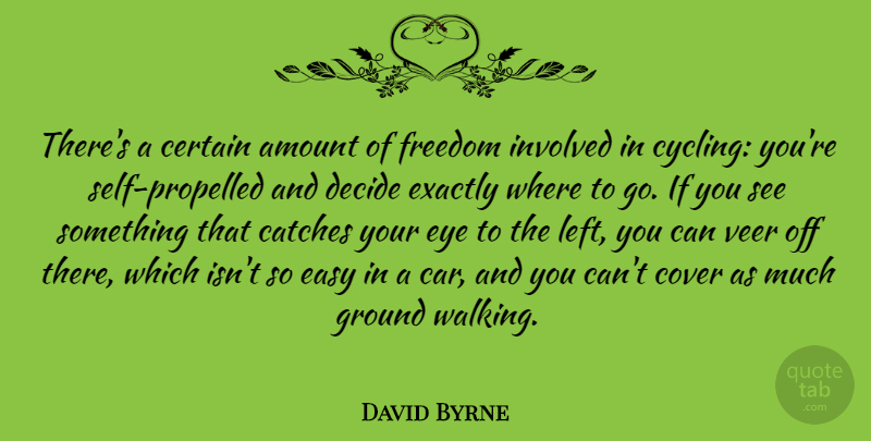 David Byrne Quote About Amount, Car, Certain, Cover, Decide: Theres A Certain Amount Of...